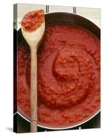 Pan of Home-Made Tomato Sauce-Steve Baxter-Stretched Canvas