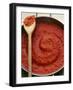 Pan of Home-Made Tomato Sauce-Steve Baxter-Framed Photographic Print