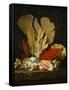 Panaches de mer, lithophytes et coquilles-Still-life with shells and coral Canvas, 130 x 97 cm-Anne Vallayer-coster-Framed Stretched Canvas