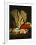 Panaches de mer, lithophytes et coquilles-Still-life with shells and coral Canvas, 130 x 97 cm-Anne Vallayer-coster-Framed Giclee Print