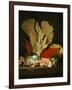 Panaches de mer, lithophytes et coquilles-Still-life with shells and coral Canvas, 130 x 97 cm-Anne Vallayer-coster-Framed Giclee Print