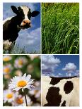 Pastoral Cow-Panais & Morcime Dumoulin-Laminated Art Print