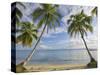 Panama, Bocas Del Toro Province, Carenero Island, Palm Trees and Beach-Jane Sweeney-Stretched Canvas