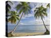 Panama, Bocas Del Toro Province, Carenero Island, Palm Trees and Beach-Jane Sweeney-Stretched Canvas