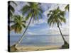 Panama, Bocas Del Toro Province, Carenero Island, Palm Trees and Beach-Jane Sweeney-Stretched Canvas