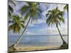 Panama, Bocas Del Toro Province, Carenero Island, Palm Trees and Beach-Jane Sweeney-Mounted Photographic Print