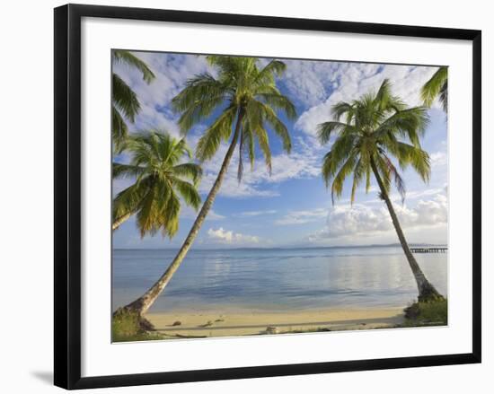 Panama, Bocas Del Toro Province, Carenero Island, Palm Trees and Beach-Jane Sweeney-Framed Photographic Print