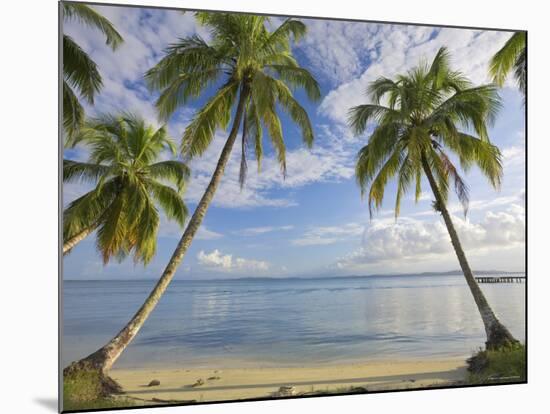 Panama, Bocas Del Toro Province, Carenero Island, Palm Trees and Beach-Jane Sweeney-Mounted Photographic Print