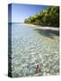 Panama, Bocas Del Toro Province, Colon Island Star Beach, Star Fish in Sea-Jane Sweeney-Stretched Canvas