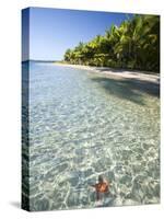 Panama, Bocas Del Toro Province, Colon Island Star Beach, Star Fish in Sea-Jane Sweeney-Stretched Canvas