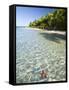 Panama, Bocas Del Toro Province, Colon Island Star Beach, Star Fish in Sea-Jane Sweeney-Framed Stretched Canvas