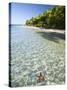 Panama, Bocas Del Toro Province, Colon Island Star Beach, Star Fish in Sea-Jane Sweeney-Stretched Canvas