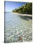 Panama, Bocas Del Toro Province, Colon Island Star Beach, Star Fish in Sea-Jane Sweeney-Stretched Canvas