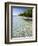 Panama, Bocas Del Toro Province, Colon Island Star Beach, Star Fish in Sea-Jane Sweeney-Framed Photographic Print