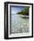 Panama, Bocas Del Toro Province, Colon Island Star Beach, Star Fish in Sea-Jane Sweeney-Framed Photographic Print