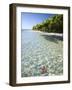 Panama, Bocas Del Toro Province, Colon Island Star Beach, Star Fish in Sea-Jane Sweeney-Framed Photographic Print