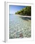 Panama, Bocas Del Toro Province, Colon Island Star Beach, Star Fish in Sea-Jane Sweeney-Framed Photographic Print