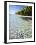 Panama, Bocas Del Toro Province, Colon Island Star Beach, Star Fish in Sea-Jane Sweeney-Framed Photographic Print