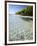 Panama, Bocas Del Toro Province, Colon Island Star Beach, Star Fish in Sea-Jane Sweeney-Framed Photographic Print