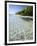 Panama, Bocas Del Toro Province, Colon Island Star Beach, Star Fish in Sea-Jane Sweeney-Framed Photographic Print