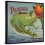 Panama Brand - Santa Barbara, California - Citrus Crate Label-Lantern Press-Stretched Canvas