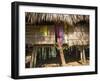 Panama, Chagres River, Embera Village, Thatched Hut-Jane Sweeney-Framed Photographic Print