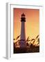 Panama City Beach, Florida - Lighthouse and Seagrass-Lantern Press-Framed Art Print