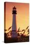 Panama City Beach, Florida - Lighthouse and Seagrass-Lantern Press-Stretched Canvas