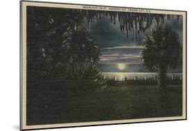 Panama City, FL - Moonlit View of St. Andrews Bay-Lantern Press-Mounted Art Print