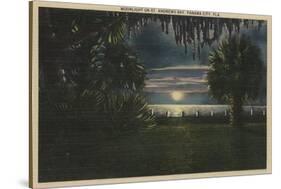 Panama City, FL - Moonlit View of St. Andrews Bay-Lantern Press-Stretched Canvas