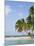 Panama, Comarca de Kuna Yala, San Blas Islands, Kuanidup Grande-Jane Sweeney-Mounted Photographic Print