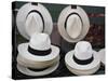 Panama Hats, Panama City, Panama, Central America-Wendy Connett-Stretched Canvas