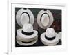 Panama Hats, Panama City, Panama, Central America-Wendy Connett-Framed Photographic Print