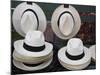 Panama Hats, Panama City, Panama, Central America-Wendy Connett-Mounted Photographic Print