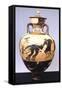 Panathenaic Amphora Depicting Start of Chariot Race-null-Framed Stretched Canvas