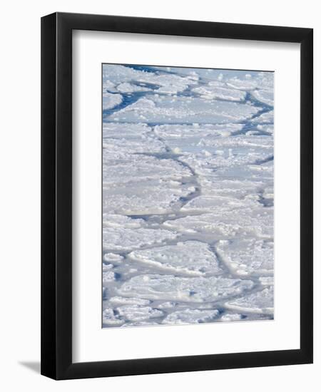 Pancake ice, new sea ice is building up. Disko Bay during winter, West Greenland-Martin Zwick-Framed Photographic Print