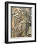 Pancake Rocks on South Island-Michele Westmorland-Framed Photographic Print