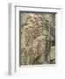 Pancake Rocks on South Island-Michele Westmorland-Framed Photographic Print