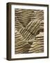 Pancake Rocks, Punakaiki, Paparoa National Park, West Coast, South Island, New Zealand-David Wall-Framed Photographic Print