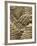 Pancake Rocks, Punakaiki, Paparoa National Park, West Coast, South Island, New Zealand-David Wall-Framed Photographic Print