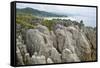 Pancake Rocks, Punakaiki, West Coast, South Island, New Zealand, Pacific-Matthew Williams-Ellis-Framed Stretched Canvas