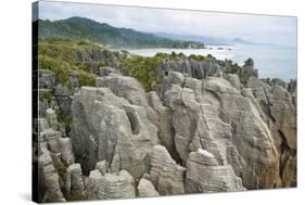 Pancake Rocks, Punakaiki, West Coast, South Island, New Zealand, Pacific-Matthew Williams-Ellis-Stretched Canvas
