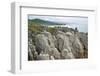 Pancake Rocks, Punakaiki, West Coast, South Island, New Zealand, Pacific-Matthew Williams-Ellis-Framed Photographic Print