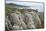 Pancake Rocks, Punakaiki, West Coast, South Island, New Zealand, Pacific-Matthew Williams-Ellis-Mounted Photographic Print