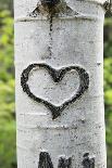 Bark Heart-pancaketom-Photographic Print