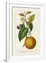 Gramercy White