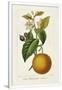Gramercy White
