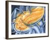 Pancreas-John Bavosi-Framed Photographic Print