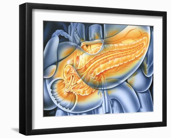 Pancreas-John Bavosi-Framed Photographic Print