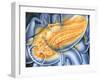 Pancreas-John Bavosi-Framed Photographic Print